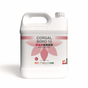 import placeholder for 513