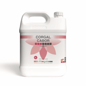 import placeholder for 516