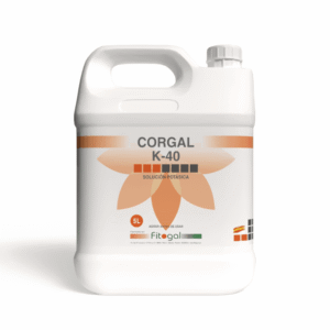 import placeholder for 526