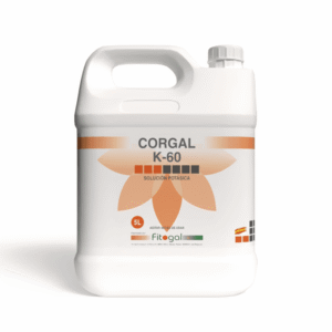 import placeholder for 546