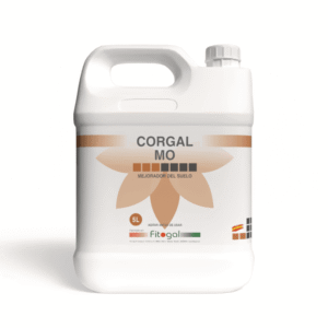 import placeholder for 543