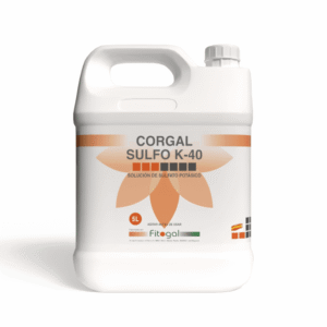 import placeholder for 527