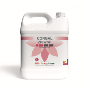 import placeholder for 556