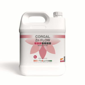 import placeholder for 554