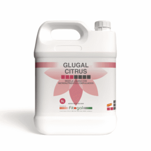 import placeholder for 502