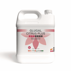 import placeholder for 503