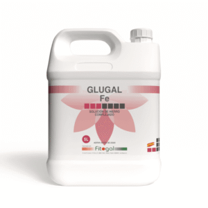 import placeholder for 504