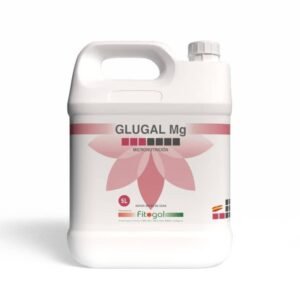 import placeholder for 506