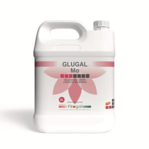 import placeholder for 509