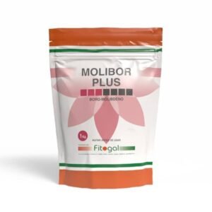 import placeholder for 523