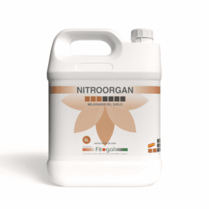 import placeholder for 545