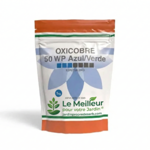 import placeholder for 533