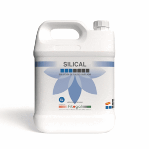 import placeholder for 538