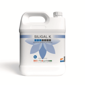 import placeholder for 539