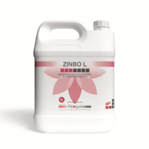 import placeholder for 524